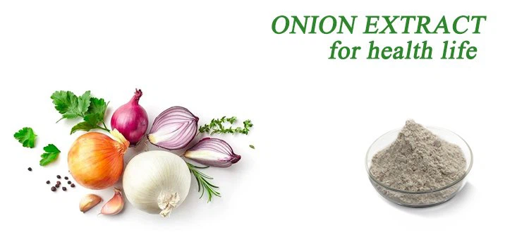 Allium Cepa Bulb Extract.png